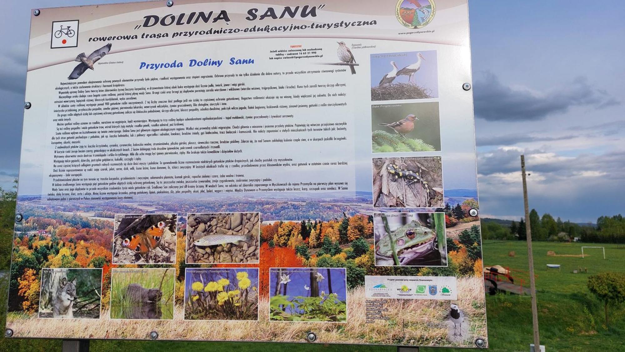 Dom Nad Dolina Sanu Villa Ruszelczyce Exterior foto