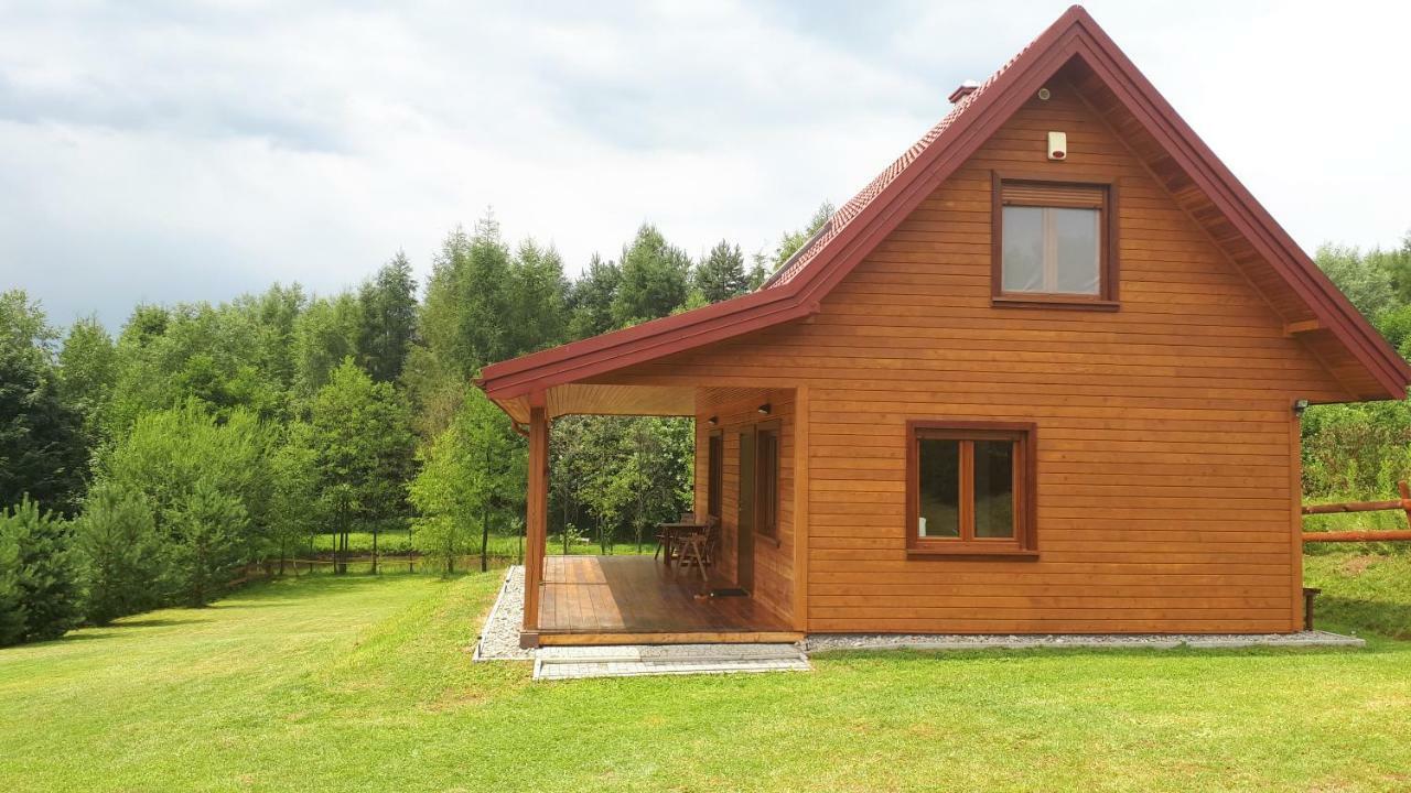 Dom Nad Dolina Sanu Villa Ruszelczyce Exterior foto